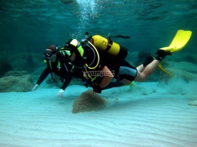 Club de Buceo Aqua, precios y reservas 2024